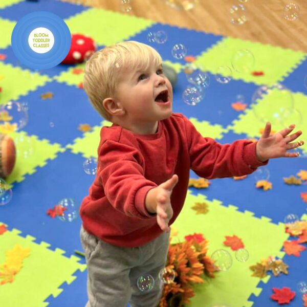Toddler group 2-4 year olds