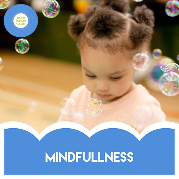 bloom baby classes {franchise name}, bloom toddler classes {franchise name}