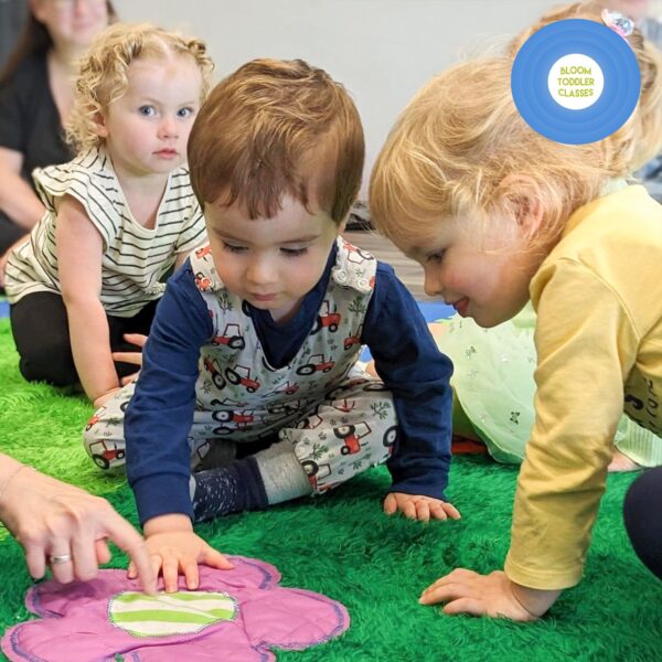 toddler session in atherton