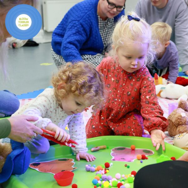 playgroup in Atherton