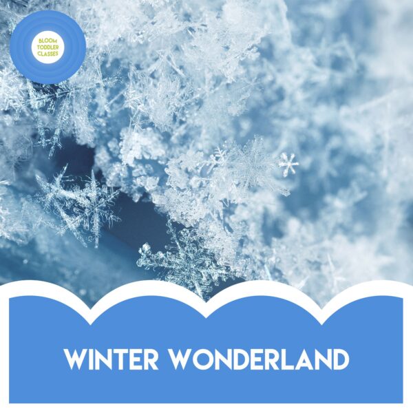FRIDAYS IN LEIGH - ❄️🤍WINTER WONDERLAND TERM - CREATIVE LEARNERS - WALKING-2YEARS