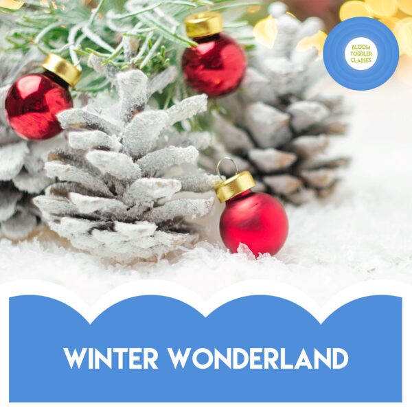 FRIDAYS IN LEIGH - ❄️🤍WINTER WONDERLAND TERM - SOCIAL SUPERSTARS - 2-4YEARS