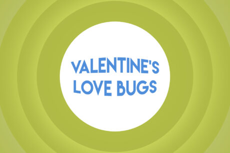 toddler valentines class Wigan