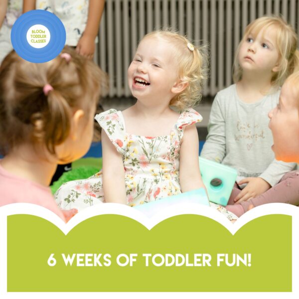 friday toddler classes in Leigh
