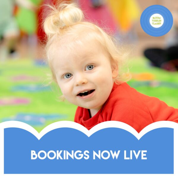 best toddler classes near me north west