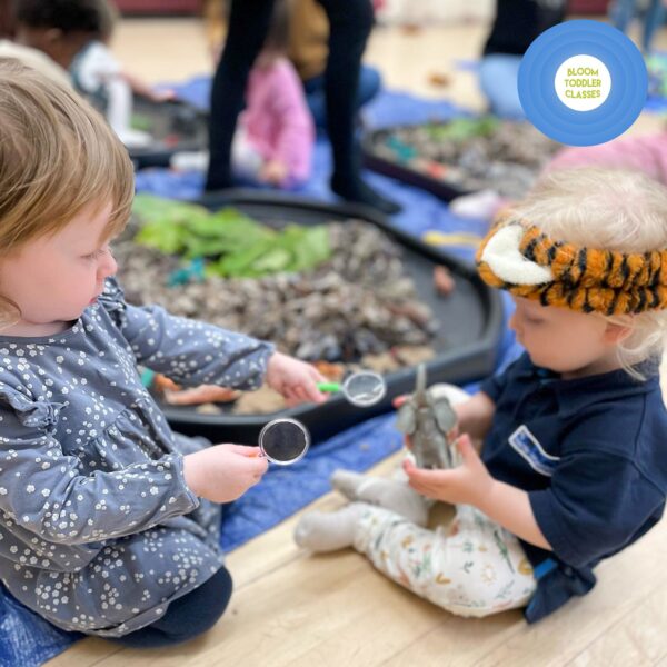 TUESDAYS AT PENNINGTON WHARF - 🧡🍂🐿️AUTUMN TERM - MIXED AGE CLASS - WALKING TOTS,2,3,4YRS - Image 3