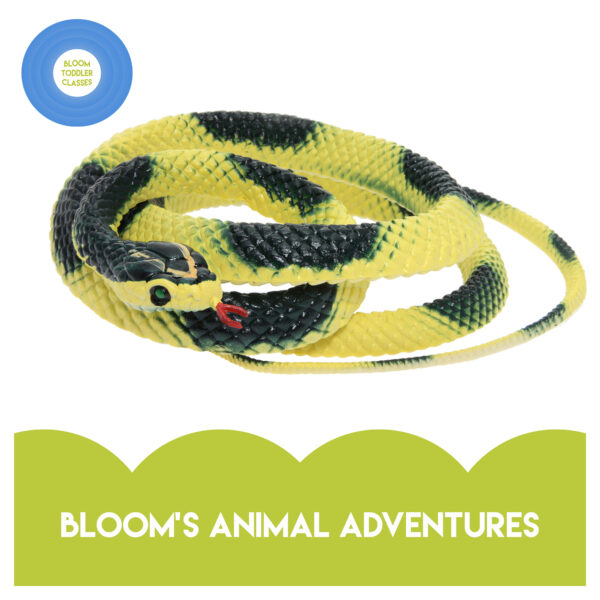Bloom's Animal Adventures