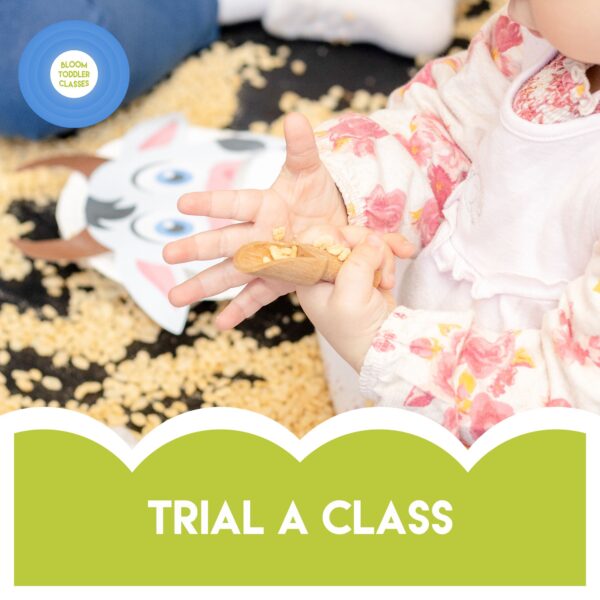 activities for 1 year olds liverpool