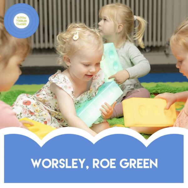 toddler trial class