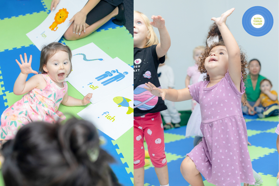 Choosing The Best Toddler Class